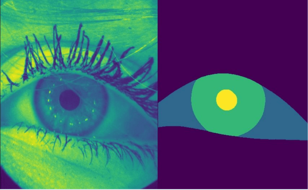 U-Net Semantic Segmentation screenshot